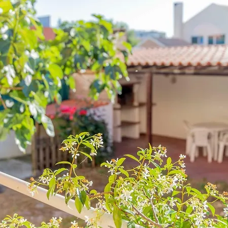 Holiday home Casa Do Monte Da Faulha Cotovia